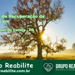 🚨 Clínica de Recuperação de Drogas em São João - PR