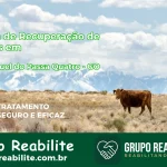 🚨 Clínica de Recuperação de Drogas em São Miguel do Passa Quatro - GO