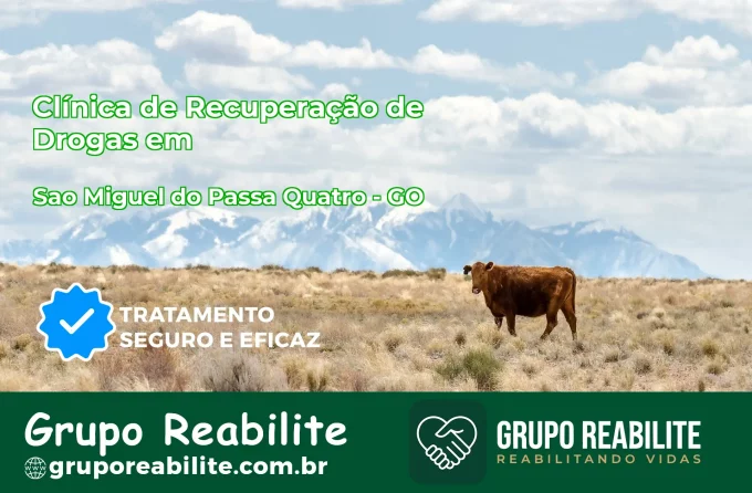 🚨 Clínica de Recuperação de Drogas em São Miguel do Passa Quatro - GO