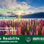 🚨 Clínica de Recuperação de Drogas em São Pedro de Alcântara - SC