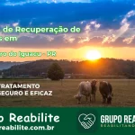 🚨 Clínica de Recuperação de Drogas em São João do Triunfo - PR