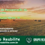 🚨 Clínica de Recuperação de Drogas em São Raimundo Nonato - PI