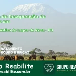 🚨 Clínica de Recuperação de Drogas em São Sebastião de Lagoa de Roça - PB