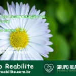 🚨 Clínica de Recuperação de Drogas em Sebastião Barros - PI
