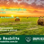 🚨 Clínica de Recuperação de Drogas em Senador Rui Palmeira - AL