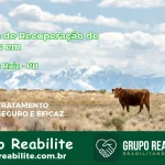 🚨 Clínica de Recuperação de Drogas em Serra da Raiz - PB