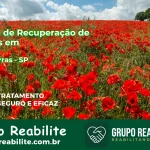 🚨 Clínica de Recuperação de Drogas em Sete Barras - SP
