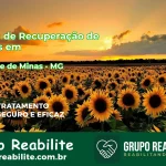 🚨 Clínica de Recuperação de Drogas em Soledade de Minas - MG