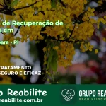 🚨 Clínica de Recuperação de Drogas em Sussuapara - PI