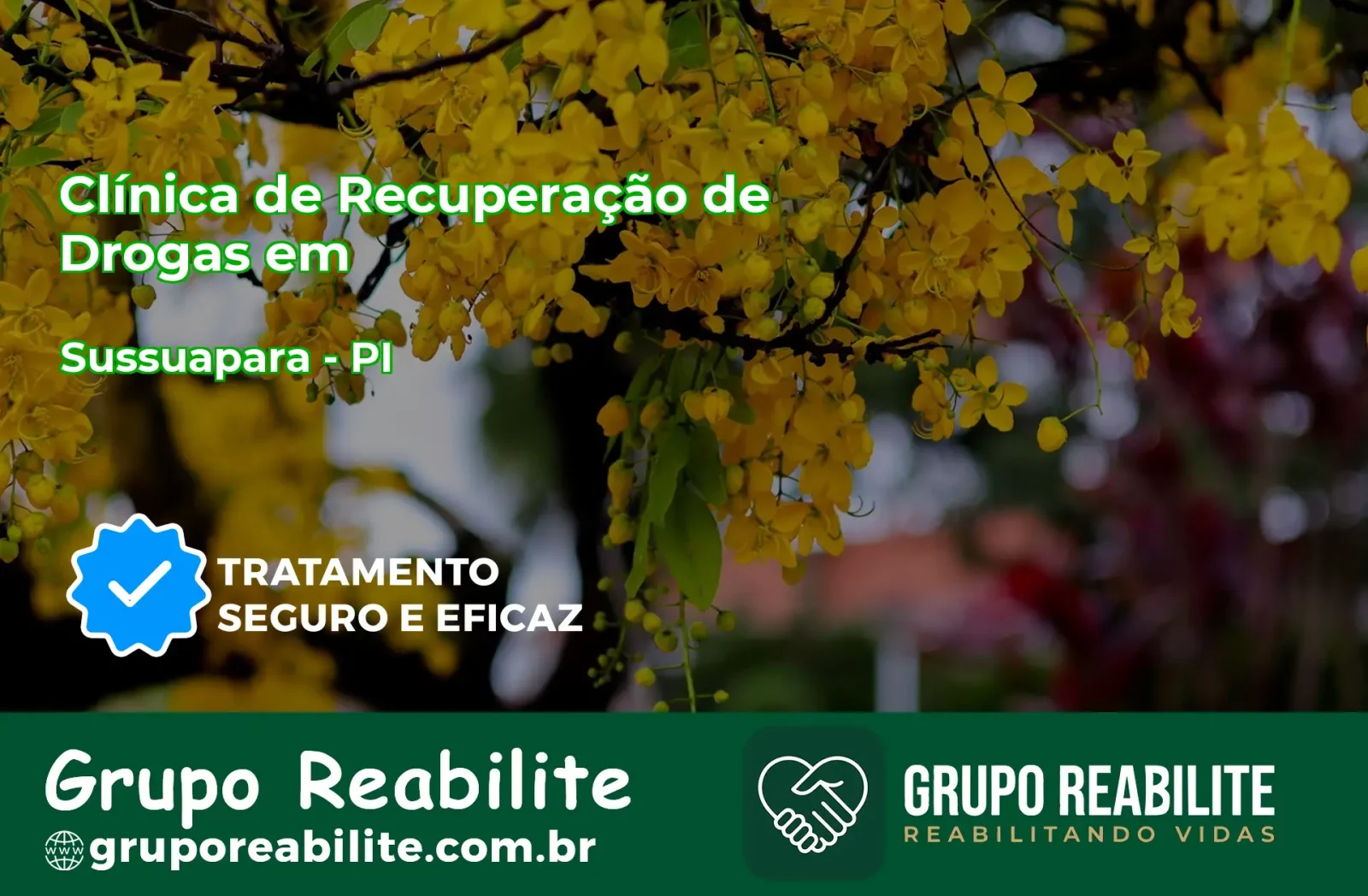 🚨 Clínica de Recuperação de Drogas em Sussuapara - PI