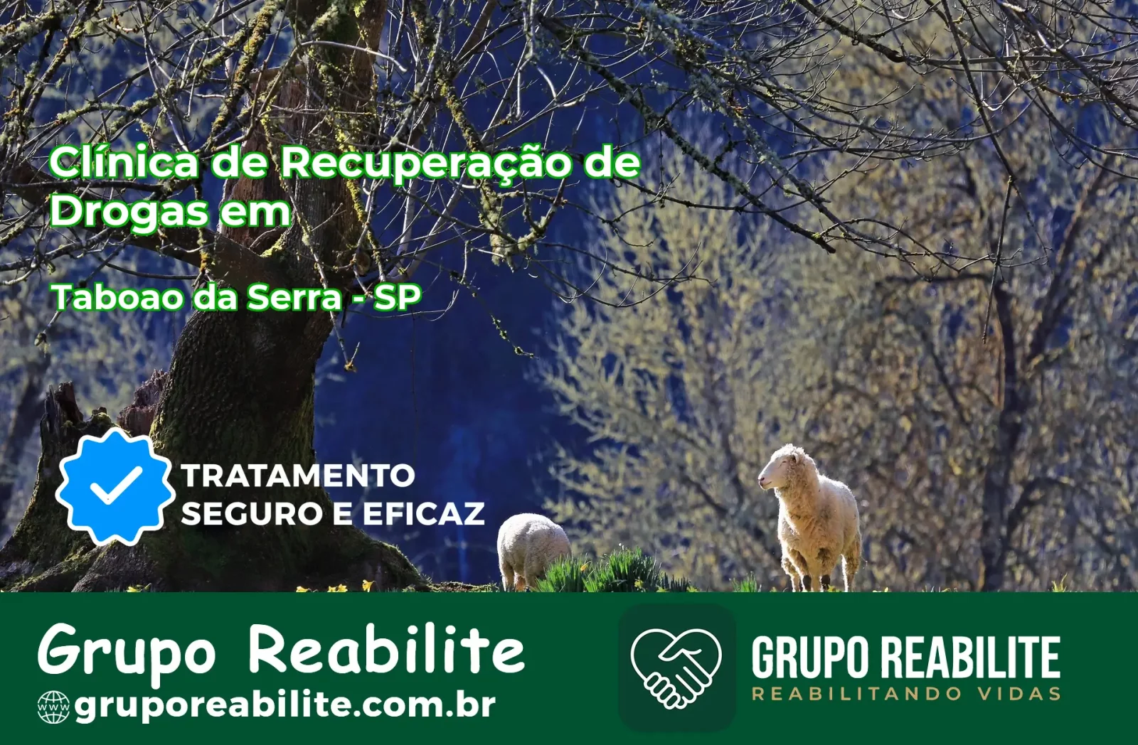 🚨 Clínica de Recuperação de Drogas em Taboão da Serra - SP
