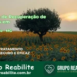 🚨 Clínica de Recuperação de Drogas em Tabuleiro - MG