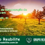 🚨 Clínica de Recuperação de Drogas em Teresópolis - RJ