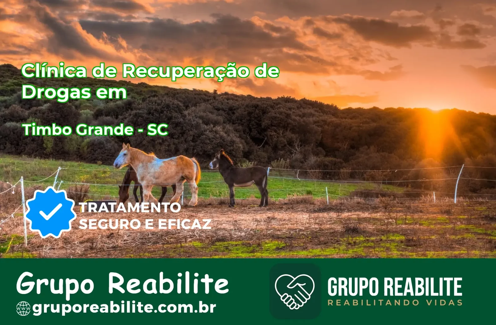 🚨 Clínica de Recuperação de Drogas em Timbó Grande - SC