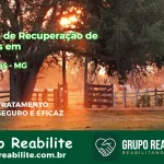 🚨 Clínica de Recuperação de Drogas em Tocantins - MG