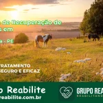 🚨 Clínica de Recuperação de Drogas em Toritama - PE