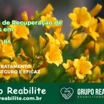 🚨 Clínica de Recuperação de Drogas em Valente - BA