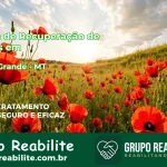 🚨 Clínica de Recuperação de Drogas em Várzea Grande - MT