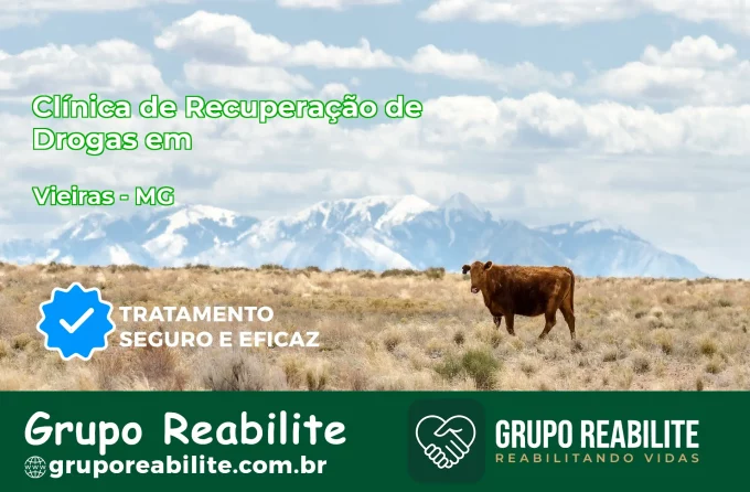 🚨 Clínica de Recuperação de Drogas em Vieiras - MG