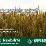 Clínica de Recuperação Saúde Caixa em Aurora – SC | Cobertura 100%