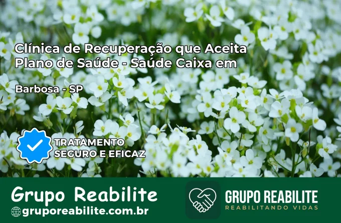 Clínica de Recuperação Saúde Caixa em Barbosa – SP | Cobertura 100%