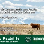 Clínica de Recuperação Saúde Caixa em Barra de São Miguel – AL | Cobertura 100%