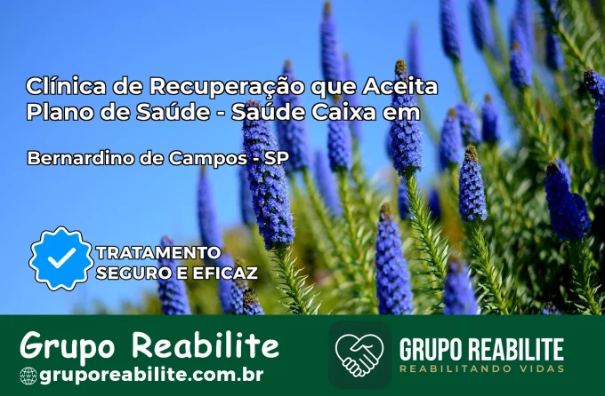 Clínica de Recuperação Saúde Caixa em Bernardino de Campos – SP | Cobertura 100%