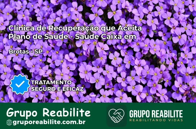Clínica de Recuperação Saúde Caixa em Brotas – SP | Cobertura 100%