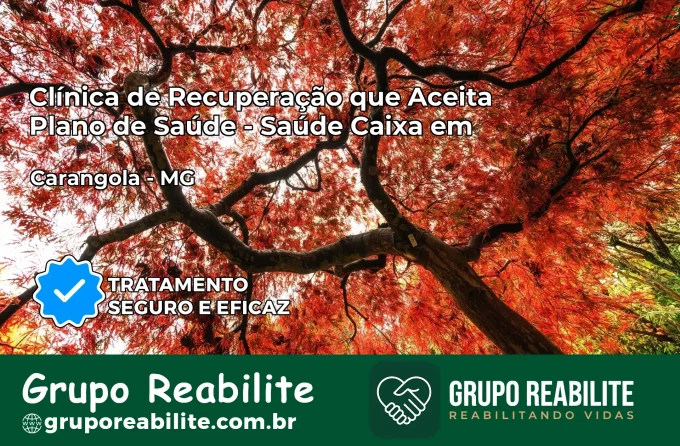 Clínica de Recuperação Saúde Caixa em Carangola – MG | Cobertura 100%