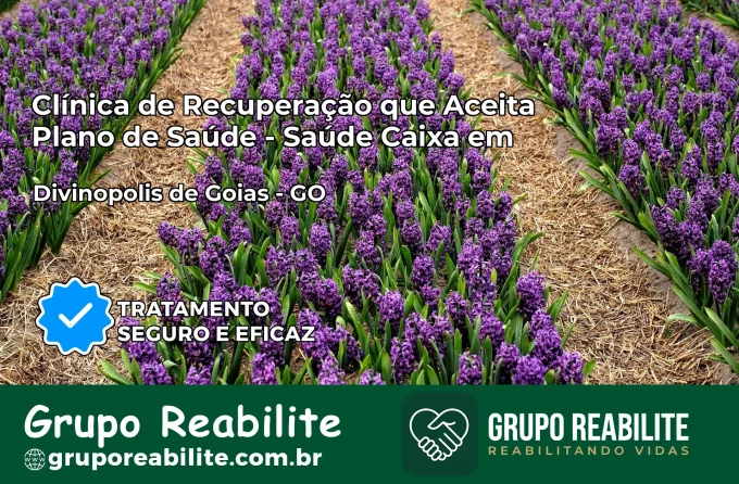 Clínica de Recuperação Saúde Caixa em Divinópolis de Goiás – GO | Cobertura 100%