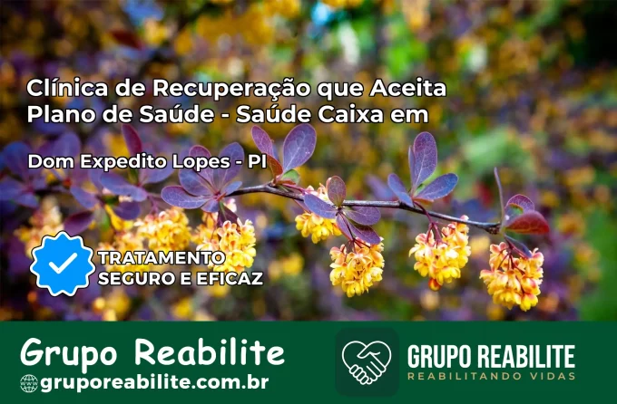 Clínica de Recuperação Saúde Caixa em Dom Expedito Lopes – PI | Cobertura 100%