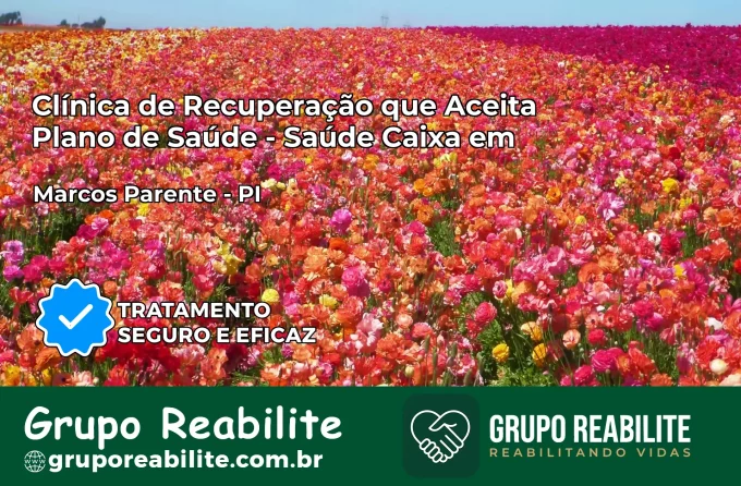 Clínica de Recuperação Saúde Caixa em Marcos Parente – PI | Cobertura 100%