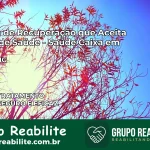 Clínica de Recuperação Saúde Caixa em Miraí – MG | Cobertura 100%