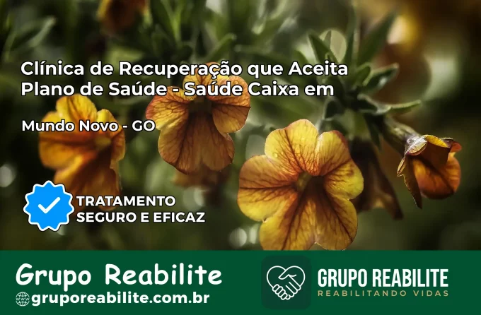 Clínica de Recuperação Saúde Caixa em Mundo Novo – GO | Cobertura 100%