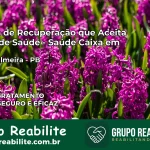 Clínica de Recuperação Saúde Caixa em Nova Palmeira – PB | Cobertura 100%