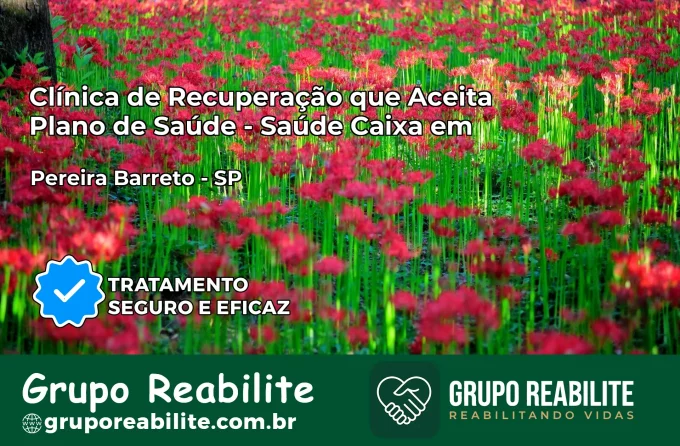 Clínica de Recuperação Saúde Caixa em Pereira Barreto – SP | Cobertura 100%