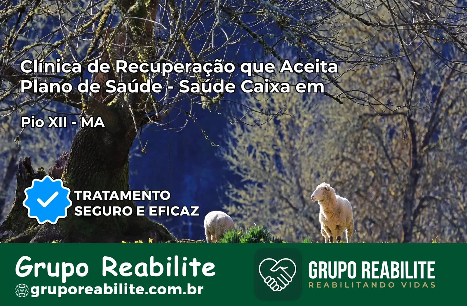 Clínica de Recuperação Saúde Caixa em Pio XII – MA | Cobertura 100%
