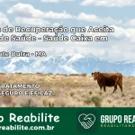 Clínica de Recuperação Saúde Caixa em Presidente Dutra – MA | Cobertura 100%