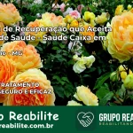 Clínica de Recuperação Saúde Caixa em Riachinho – MG | Cobertura 100%