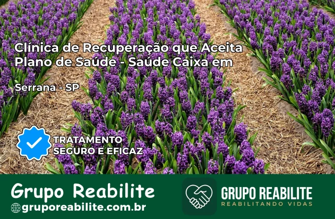 Clínica de Recuperação Saúde Caixa em Serrana – SP | Cobertura 100%
