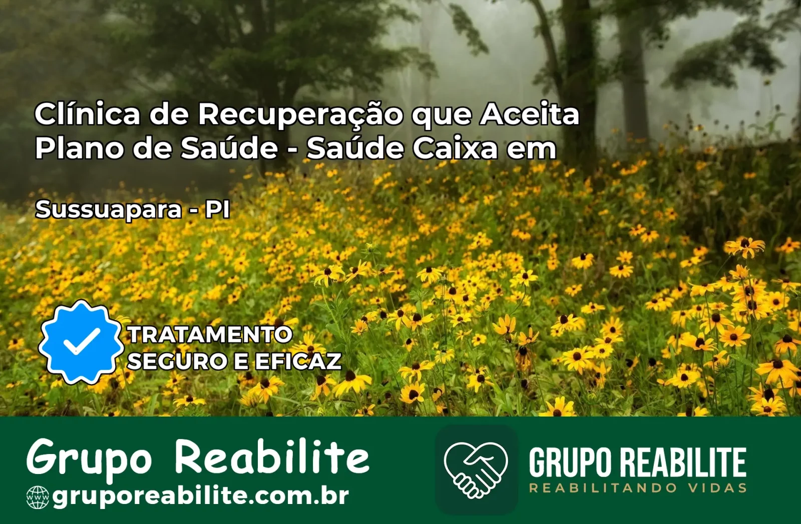 Clínica de Recuperação Saúde Caixa em Sussuapara – PI | Cobertura 100%