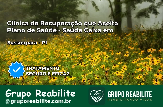 Clínica de Recuperação Saúde Caixa em Sussuapara – PI | Cobertura 100%