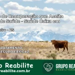 Clínica de Recuperação Saúde Caixa em Travesseiro – RS | Cobertura 100%