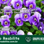Clínica de Recuperação Saúde Caixa em Umbaúba – SE | Cobertura 100%