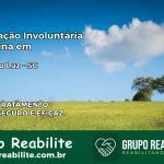 Internação Involuntária Feminina em Abelardo Luz: Salve a Vida de Quem Você Ama