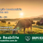 Internação Involuntária Feminina em Adelândia: Salve a Vida de Quem Você Ama