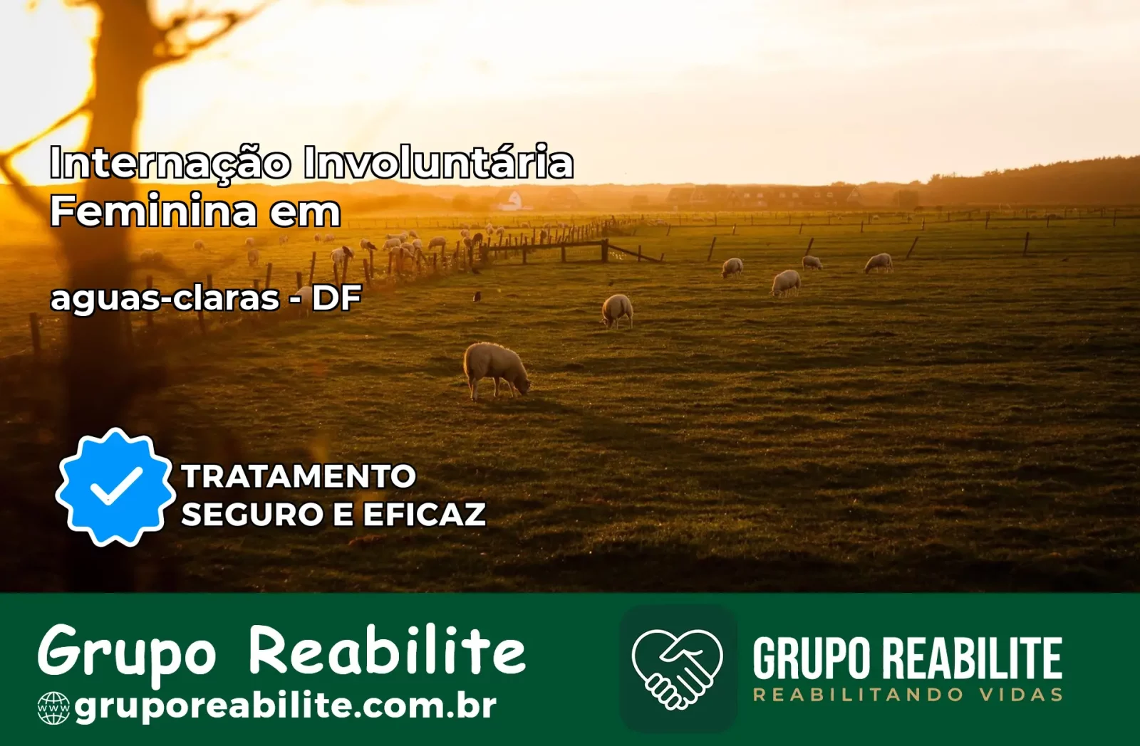 Internação Involuntária Feminina em aguas-claras: Salve a Vida de Quem Você Ama