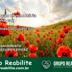 Internação Involuntária Feminina em Águas Lindas de Goiás: Salve a Vida de Quem Você Ama