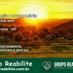 Internação Involuntária Feminina em Alta Floresta: Salve a Vida de Quem Você Ama