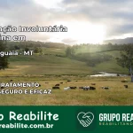Internação Involuntária Feminina em Alto Araguaia: Salve a Vida de Quem Você Ama